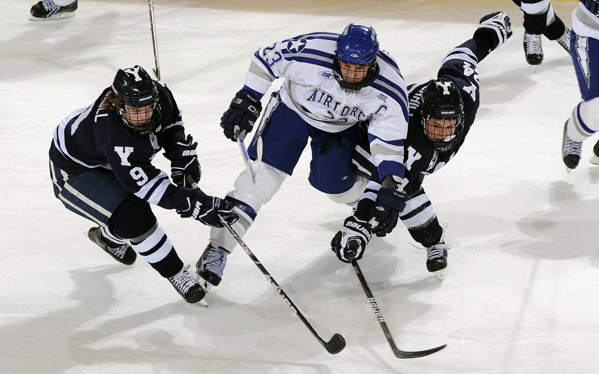 世界高尔夫巡回赛多位球员争夺年度积分，高尔夫巡回赛冠军